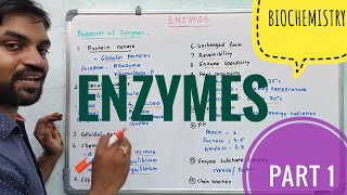 Enzymes | Part 1 | Biochemistry | V Senthilnathan