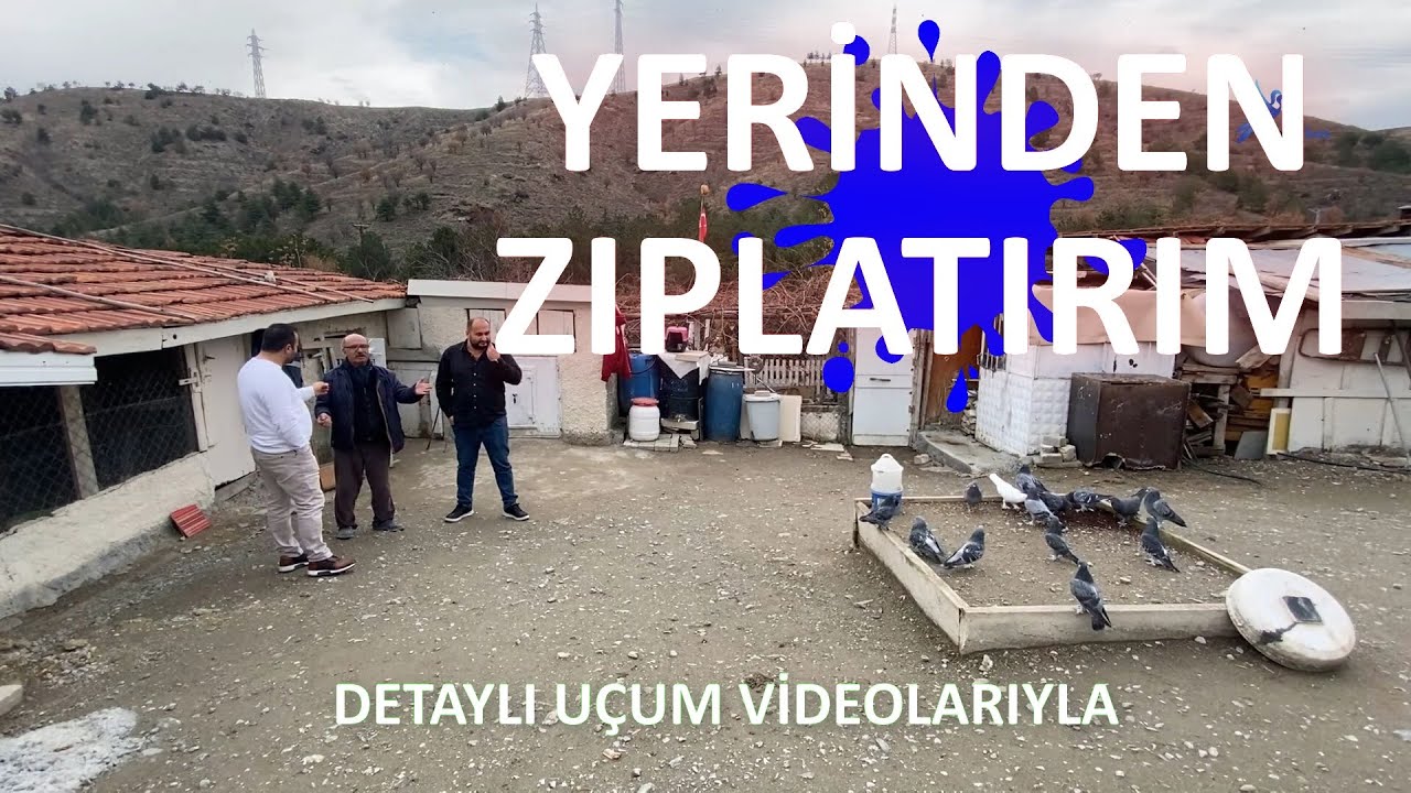 YERİNDEN ZIPLATIRIM - TERZİ İBO TAKLACI GÜVERCİN KÜMES ZİYARETİ