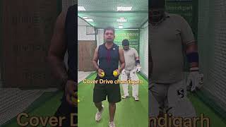 Cricket indoor cover Drive zone chandigarh sector 38