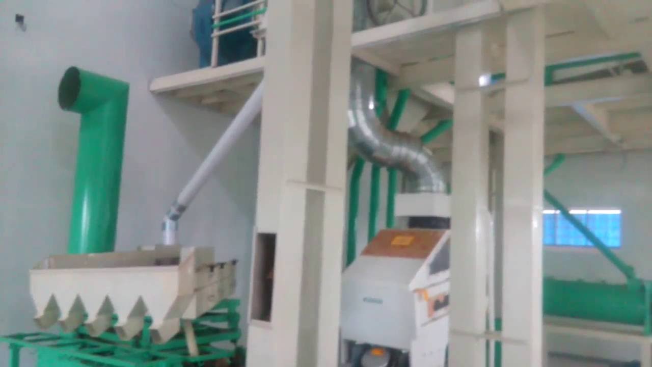 Multi Seeds cleaning Plant YouTube