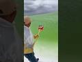 Harvesting Salt From a Giant Green Mirror! #howitsmade #amazingnature #viralshorts
