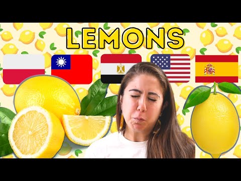 ? Lemon Dishes From Around the World  (Egypt, USA, Spain, Taiwan, Poland)