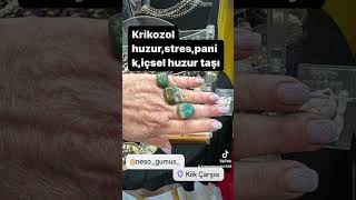 Nesogümüşankara