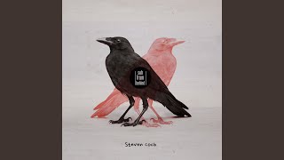 Download Lagu Bimbi MP3