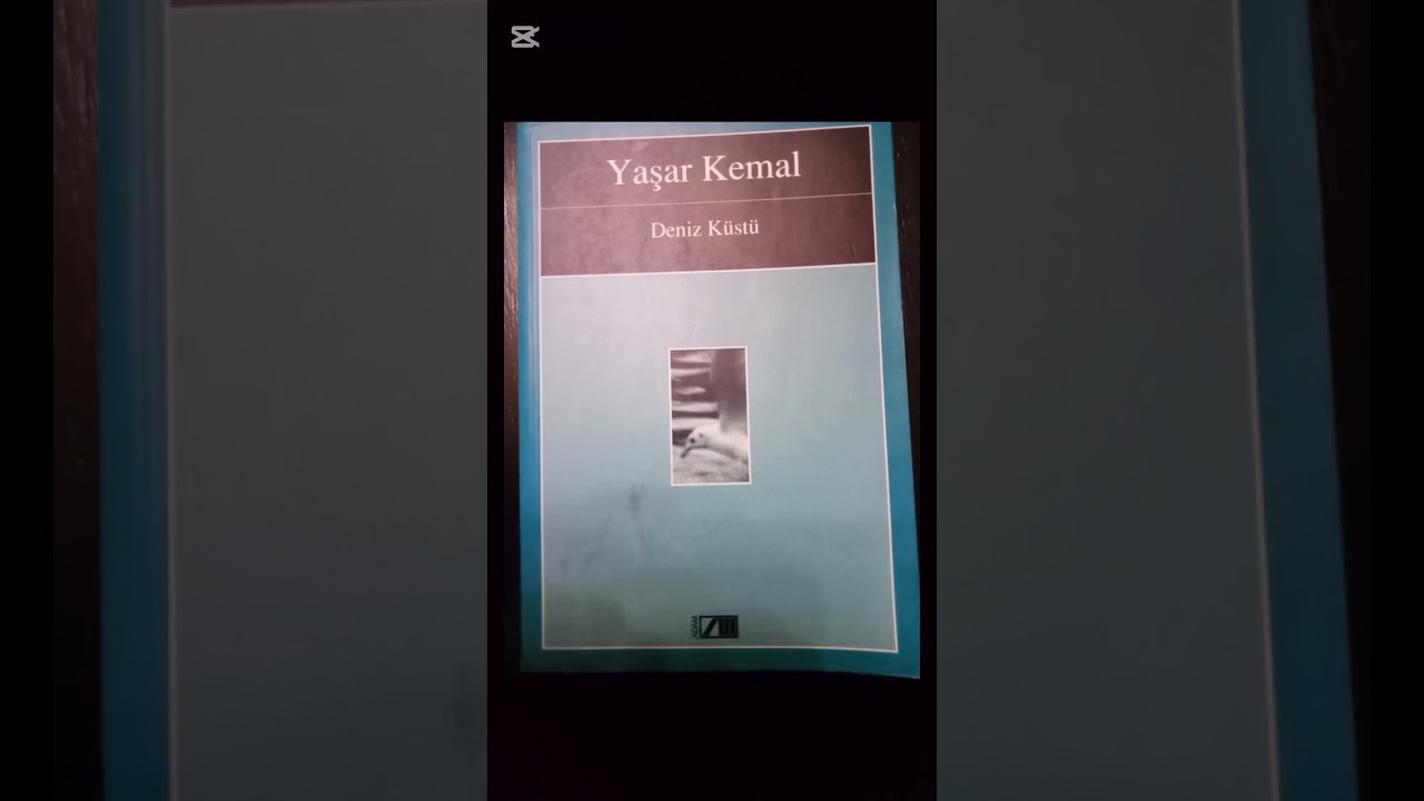 YAŞAR KEMAL- DENİZ KÜSTÜ- 27. BÖLÜM- TURGAY AKPINAR'IN SESİNDEN 