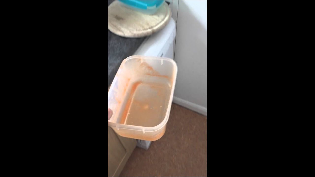 Dishwasher Etiquette YouTube