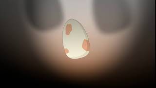 Hatching dragon's egg.