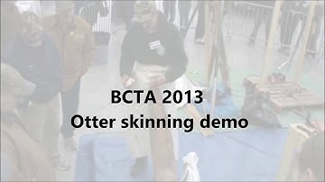 BCTA 2013 Otter fleshing demo