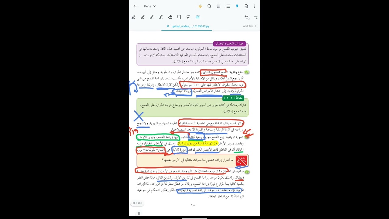 الفصيلة النجيلية 