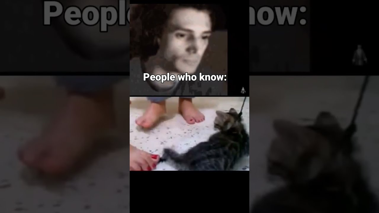 2 Words And Numbers 1 Cat 3 Girls