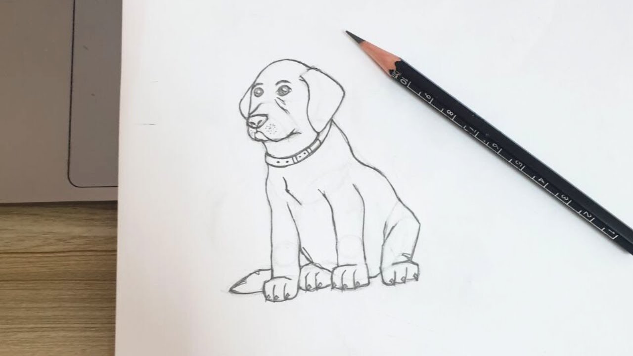 How to draw your dog with a pencil YouTube