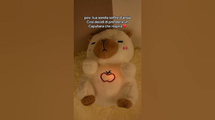 Spero che mia sorella stia meglio #peluche #capybara #ansia