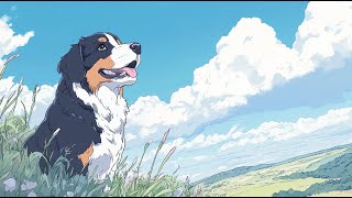 Robomelodie - Berňák Psí Album 2 Písnička O Plemeni Bernský Salašnický Pes