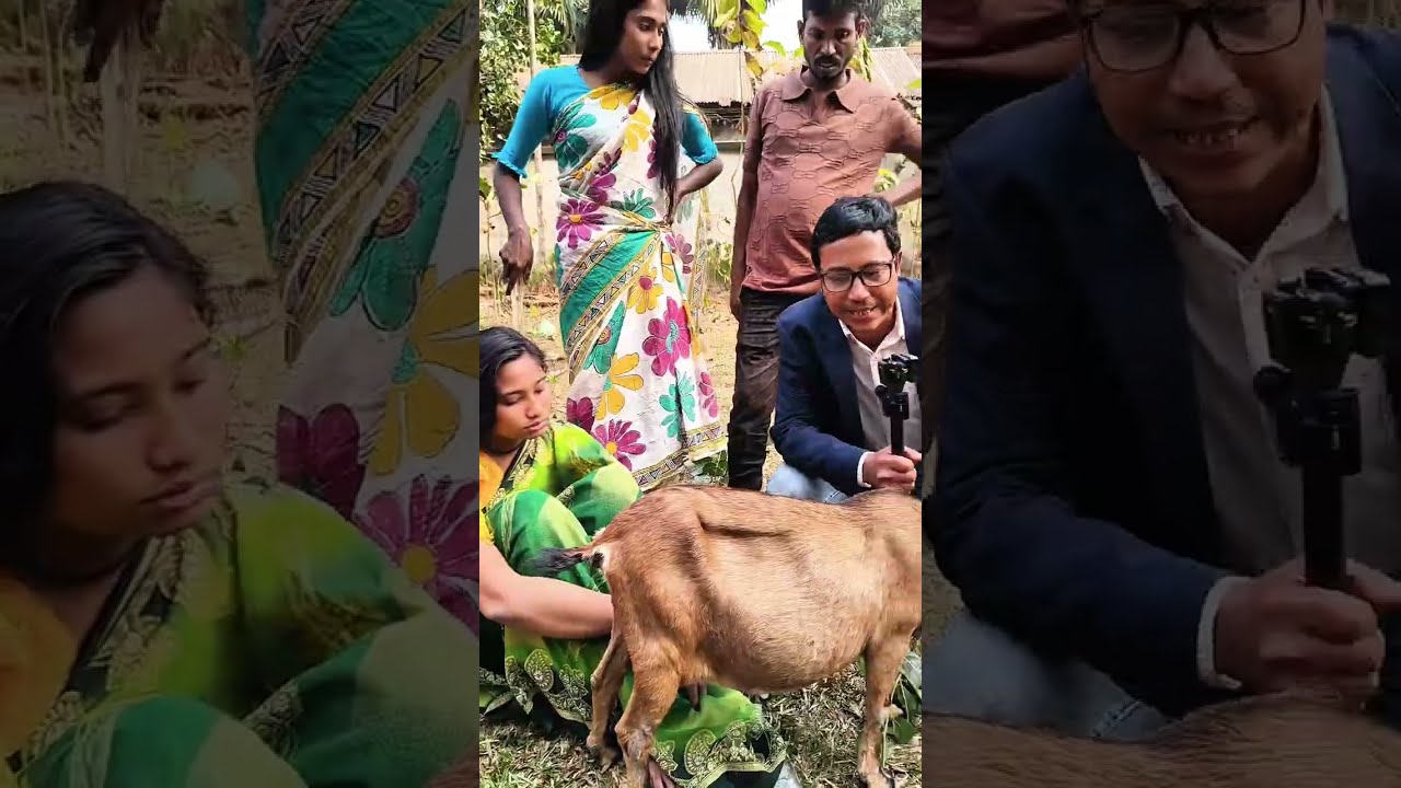 ভালোবাসা দিবসে প্রেমিকের মন খুশি করতেই ছাগল চু/রি করতে গিয়ে হা/তে/না/তে ধ/রা খেলো প্রেমিকা