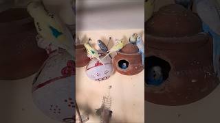 Badgies Update #Badgies #minivlog #minecraft #true #lovebirds #birds