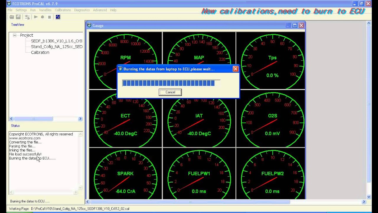 ECOTRONS EFI Tuning Software ProCAL Video Tutorial.avi YouTube