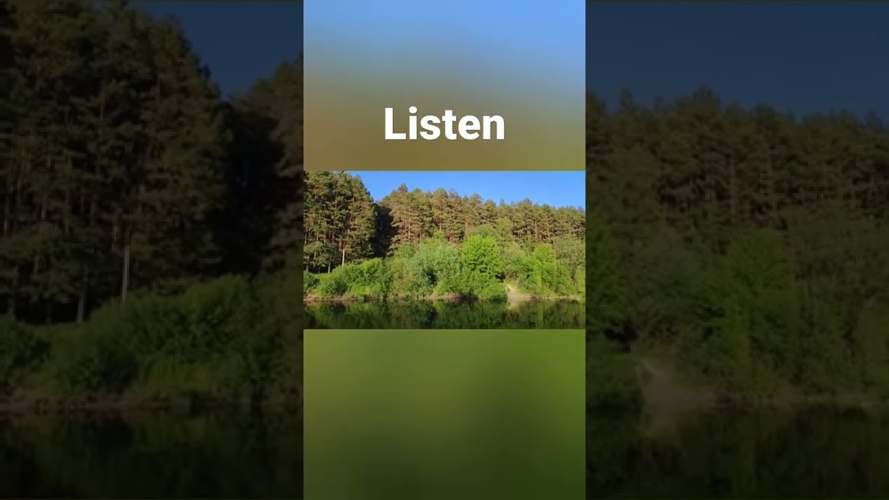 Sounds of forest and nature 