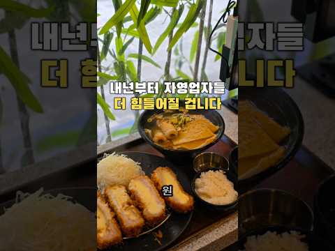 의제매입세액공제율: 75% → 50% (2026년 1월부터)