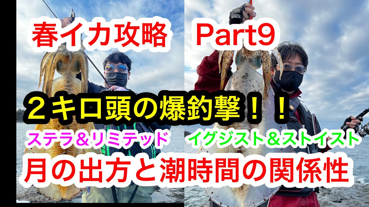 潮の時間と月の出の関係性で釣る。ドラグ設定と使用するエギの選択は？