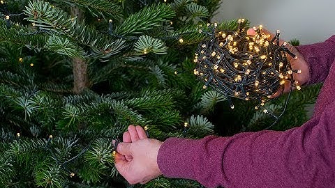 How to set up the perfect real Christmas tree