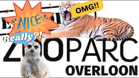 ZooParc Overloon - 😍🤩 en 😱😳