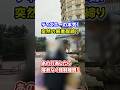 ついに無法地帯だった〇〇問題にメス!現場で何があった? #ディズニー #ディズニーランド #ディズニーシー #ファンタジースプリングス #ハッピーエントリー #転売 #disney #tdr