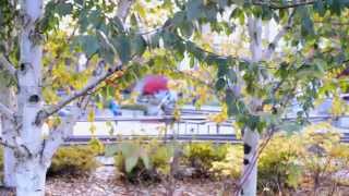 Ashleigh Ligon - Teaser