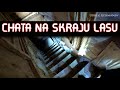 Chata w polu z piwnicą