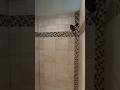 I-TILE Master bathroom tile restoration to like new