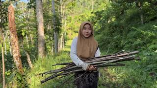 MENDERITA KORBAN PERCERAIAN...!!! AYAH MENINGGAL, IBU MERANTAU || GADIS YATIM TINGGAL DI HUTAN