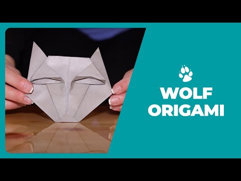 Great Wolf Lodge Origami Tutorial: Wie man einen Wolf Make