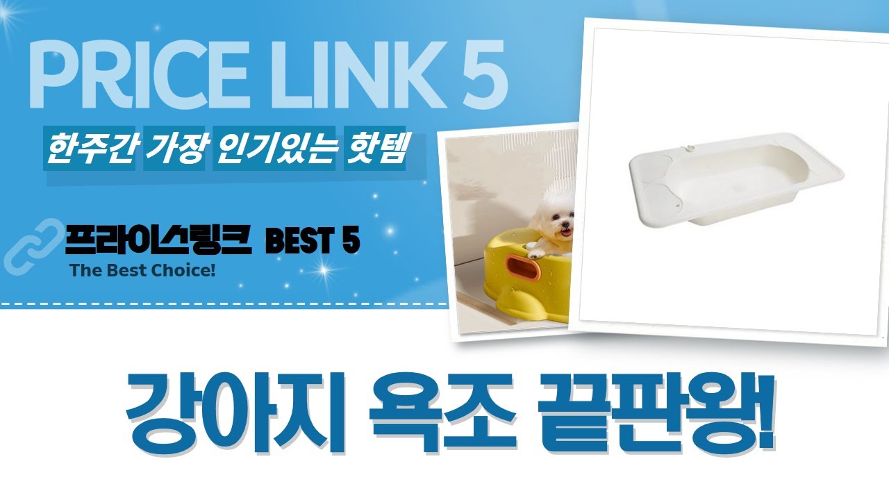 강아지 욕조 5종 비교! 딩동펫/펫토리아/HANTAO/펫클 - 우리 댕댕이 목욕템 추천