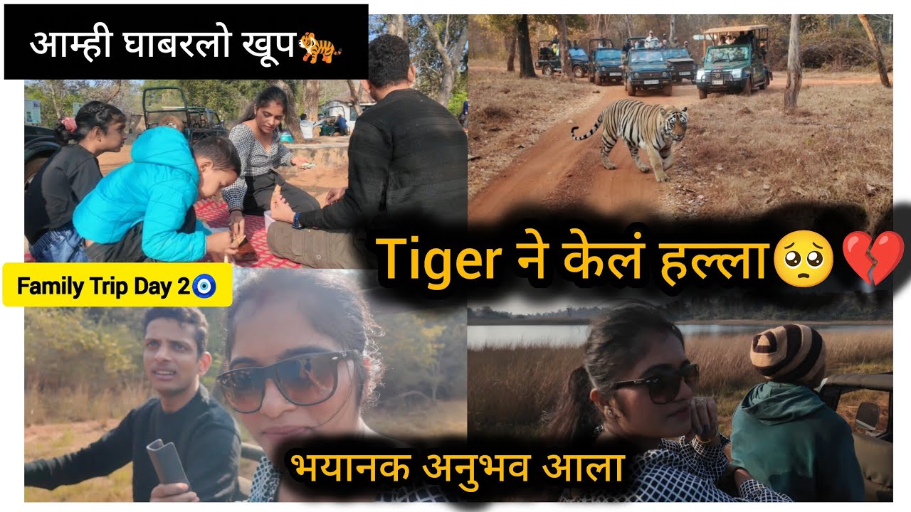 Family Trip 🧿 Jungle Safari Experience 🐅 कधीच न विसरणारा दिवस❤️ /Tadoba Trip #dailyvlog #trip 