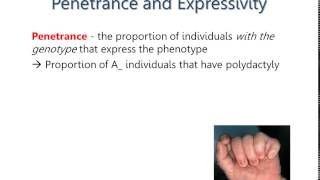 Spring 2015 Lecture 5 - Penetrance and Expressivity
