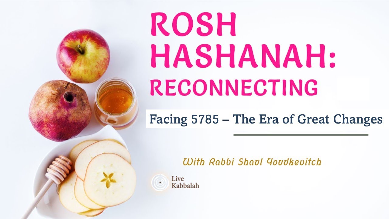 ogil bolalar xotinimning mushukiga tegishadi