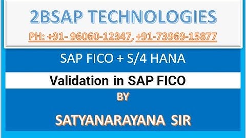 SAP S/4 HANA FICO Validation: Step-by-Step Walkthrough for Beginners"
