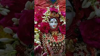 चैत्र गौर राधा राणी पोशाख पंढरपूर🌹🙏#chaitr #viral #shortvideo