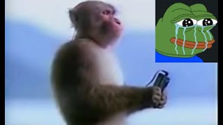 Forsen reacts to monkey with guts theme