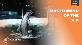Mastermind of the Sea