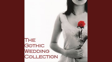 Thumbnail of Love Will Tear Us Apart