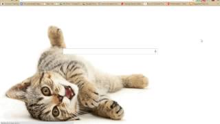 Google Maps and Google Slides.webm Picture Dictionary Using Google Slides Webm