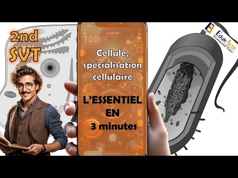 L'essentiel en 3 minutes sur la cellule spécialisation cellulaire. | SECONDE | SVT | #cellulaire