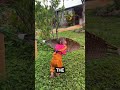 Monkey #shorts