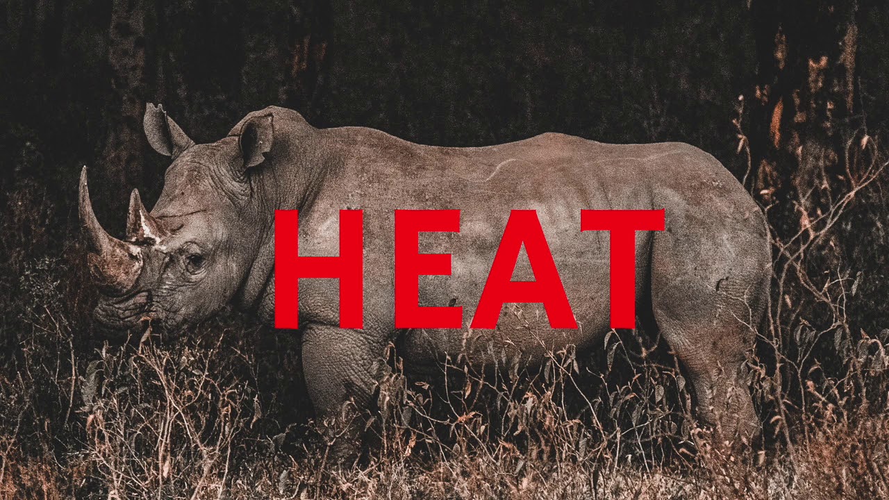 Lizzo x Missy Elliot ft Pharrell Type Beat