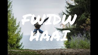 Paper Love Music - Fwidw Haai (Remix)