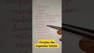 Funções das organelas celular
