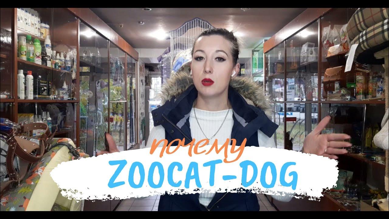 Интернет зоо магазин Зоокетдог Зоомир Днепр - YouTube