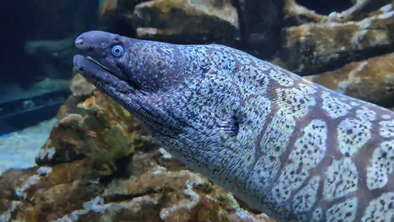 Treasures of Andalusia - Part 1  Benalmádena