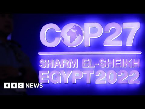 Climate change costs deal struck at COP27, but no fossil fuel progress – BBC News