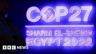 Climate change costs deal struck at COP27, but no fossil fuel progress – BBC News